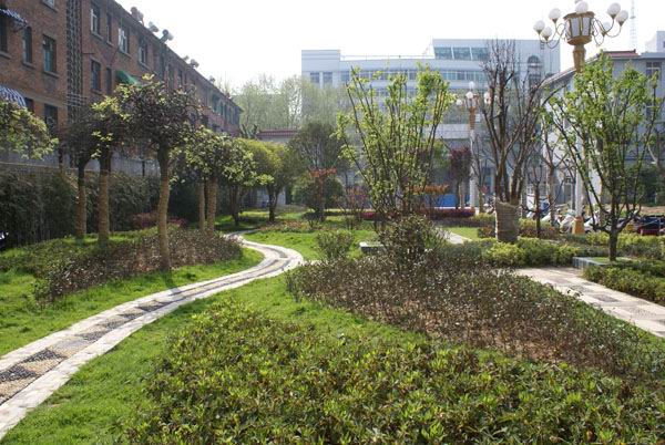 Nanyang No.1 People's Hospital Chaoshan Recovery Hospital