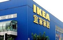Nanhai IKEA